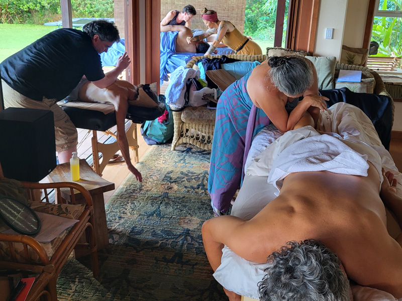 Mana Lomi massage workshop