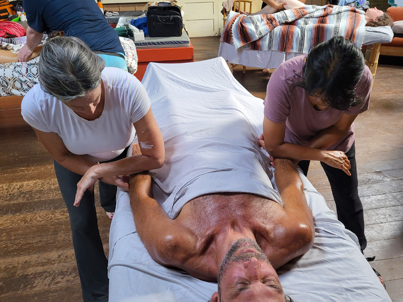Mana Lomi massage workshop